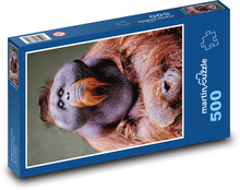 Orangutan - opice Puzzle 500 - 46x30 cm