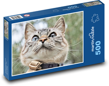 Szary kot Puzzle 500 elementów - 46x30 cm