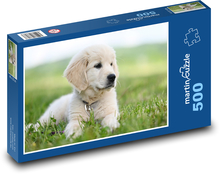 Zlatý retriever - pes Puzzle 500 dílků - 46 x 30 cm