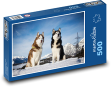 Husky syberyjski - pies Puzzle 500 elementów - 46x30 cm