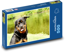 Rottweiler - pies Puzzle 500 elementów - 46x30 cm