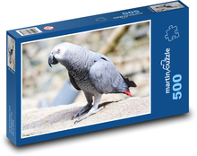 Papagáj sivý Puzzle 500 dielikov - 46 x 30 cm 