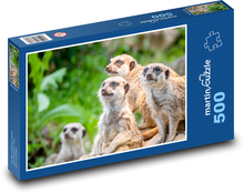 Surikaty Puzzle 500 dielikov - 46 x 30 cm