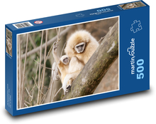 Gibbons - monkeys Puzzle of 500 pieces - 46 x 30 cm 
