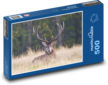 Hirsch - Geweih Puzzle 500 Teile - 46 x 30 cm