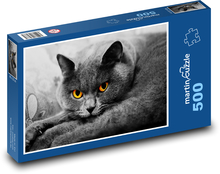 Brytyjski kot długowłosy Puzzle 500 elementów - 46x30 cm