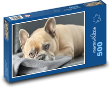 Francouzský buldoček - pes Puzzle 500 dílků - 46 x 30 cm