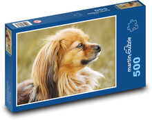 Čivava - pes Puzzle 500 dílků - 46 x 30 cm