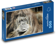 Orang-Utan - Affe Puzzle 500 Teile - 46 x 30 cm
