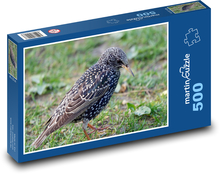 Starling - vták Puzzle 500 dielikov - 46 x 30 cm 
