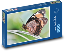 Tropikalny motyl Puzzle 500 elementów - 46x30 cm