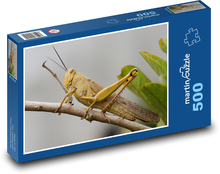 Locusts - insects Puzzle of 500 pieces - 46 x 30 cm 