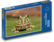 Żaba - płaz Puzzle 500 elementów - 46x30 cm