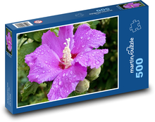 Hibiskus - kwiat Puzzle 500 elementów - 46x30 cm