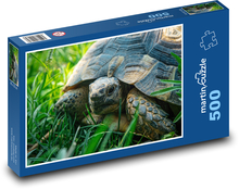 Schildkröte auf der Wiese Puzzle 500 Teile - 46 x 30 cm