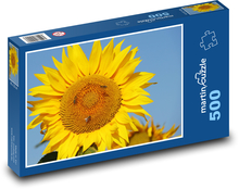 Słonecznik Puzzle 500 elementów - 46x30 cm