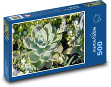 Sukulent - rastlina Puzzle 500 dielikov - 46 x 30 cm 