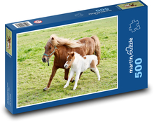 Źrebię - kucyk szetlandzki Puzzle 500 elementów - 46x30 cm