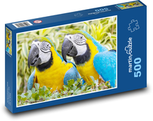 Papoušci Puzzle 500 dílků - 46 x 30 cm