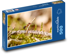 Mravenec - brouk Puzzle 500 dílků - 46 x 30 cm