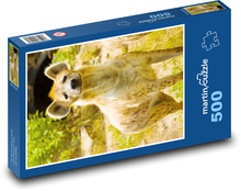 Spotted hyena Puzzle of 500 pieces - 46 x 30 cm 