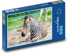 Zebra Puzzle of 500 pieces - 46 x 30 cm 