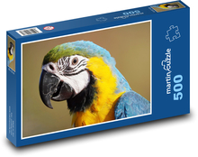 Papoušek - pták Puzzle 500 - 46x30 cm