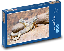 Drache - Eidechse Puzzle 500 Teile - 46 x 30 cm