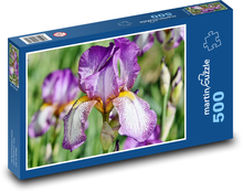 Iris - kvet Puzzle 500 dielikov - 46 x 30 cm 