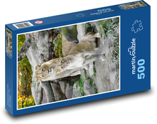 Lion and lioness in nature Puzzle of 500 pieces - 46 x 30 cm 