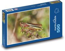 Kobylky Puzzle 500 dielikov - 46 x 30 cm 