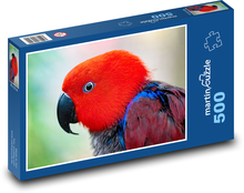 Eclectus multicolored - papuga Puzzle 500 elementów - 46x30 cm