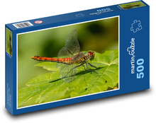 Dragonfly - Insects Puzzle of 500 pieces - 46 x 30 cm