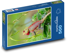 Jašterica - plaz Puzzle 500 dielikov - 46 x 30 cm 