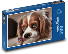 King Charles Spaniel - Puppy Puzzle of 500 pieces - 46 x 30 cm 