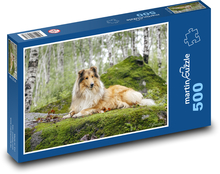 Langhaariger Collie im Wald Puzzle 500 Teile - 46 x 30 cm