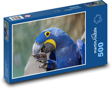 Ptak - papuga Puzzle 500 elementów - 46x30 cm
