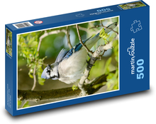 Crested Jay - bird Puzzle of 500 pieces - 46 x 30 cm 
