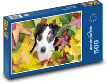 Jack Russell terrier Puzzle 500 elementów - 46x30 cm