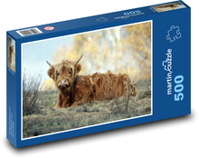 Cow Puzzle of 500 pieces - 46 x 30 cm