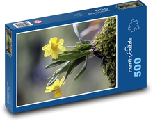 Gelbe Narzisse Puzzle 500 Teile - 46 x 30 cm