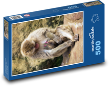 Małpa - makak Puzzle 500 elementów - 46x30 cm