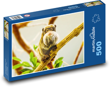 Imperial Tamarin - Long Beard Puzzle of 500 pieces - 46 x 30 cm 