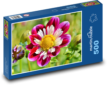 Tincture - Flower Puzzle of 500 pieces - 46 x 30 cm 