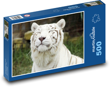 Bílý tygr Puzzle 500 dílků - 46 x 30 cm