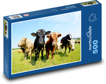 Krowy na polu Puzzle 500 elementów - 46x30 cm