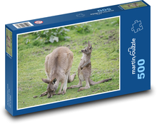 Känguru - Beuteltier Puzzle 500 Teile - 46 x 30 cm