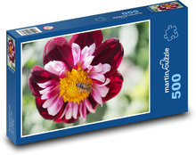 Biene auf einer Blume - Dahlien Puzzle 500 Teile - 46 x 30 cm