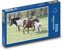 Shetlandské poníky Puzzle 500 dielikov - 46 x 30 cm 
