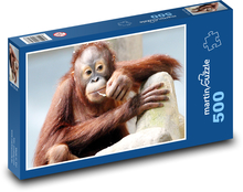 Orangutan - opice Puzzle 500 - 46x30 cm